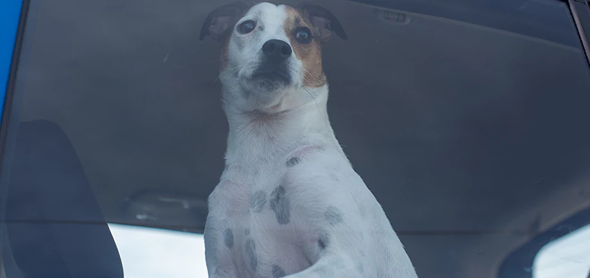 Car Lockout Solutions in Cherry Valley, California